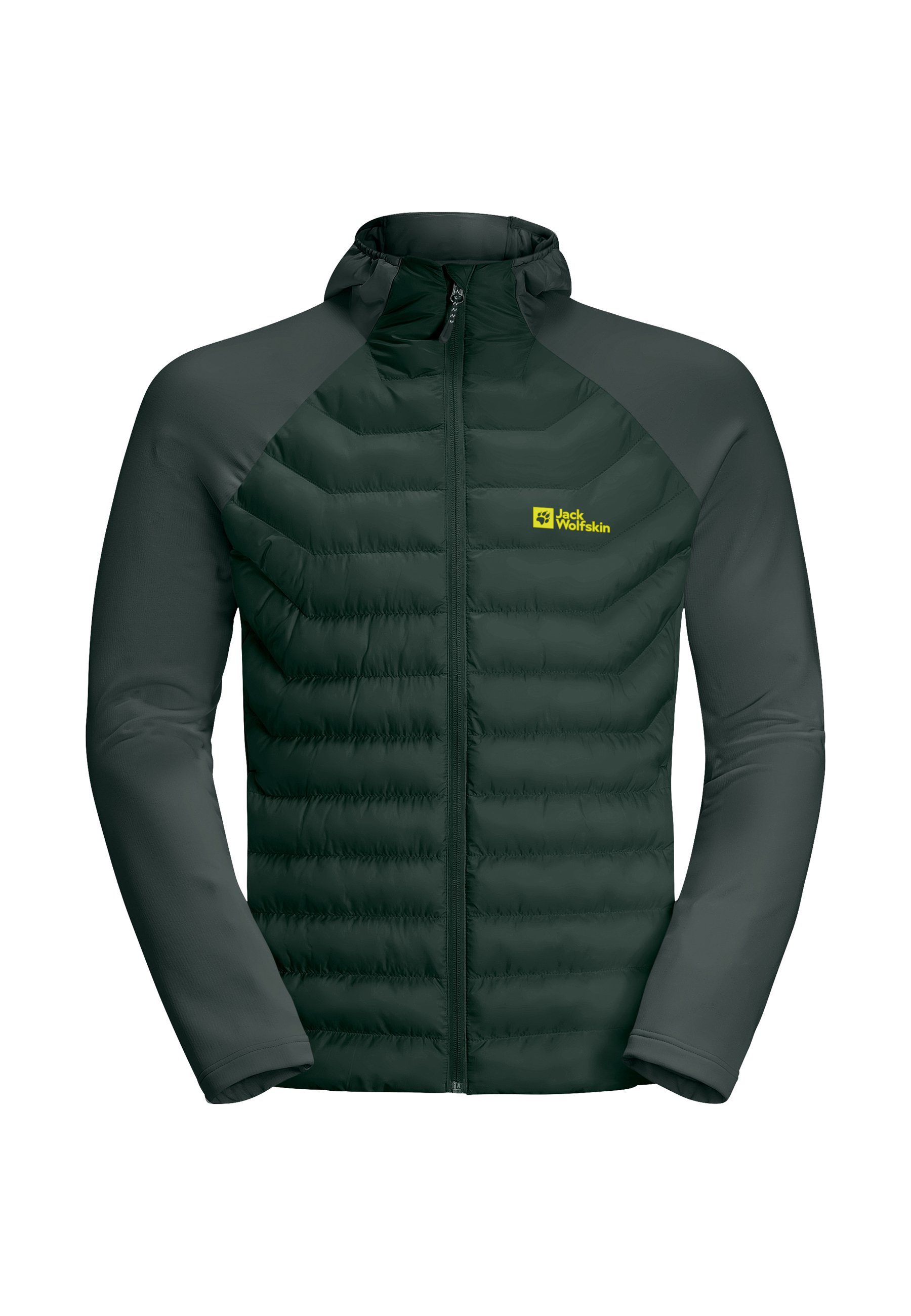 Jack Wolfskin ROUTEBURN PRO HYBRID Outdoorjacke black olive