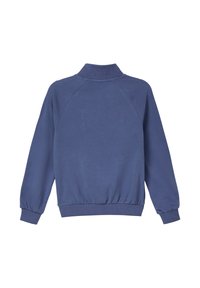 Blauwe pullover sweatshirt met een hoge kraag, lange raglanmouwen, ribgebreide manchetten en zoom. Gemaakt van zachte katoenen stof met een gladde textuur.