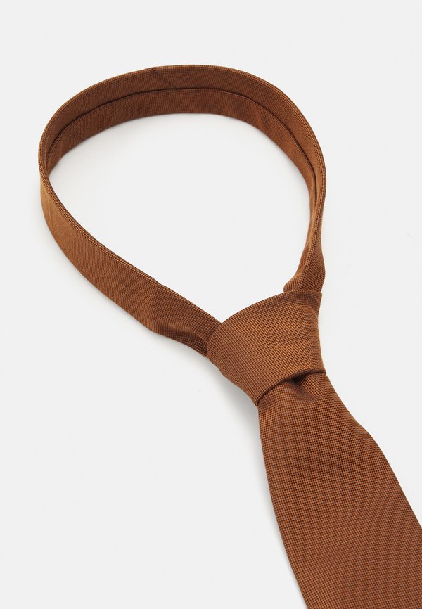 SLHPETER STRUCTURE - Tie - wood thrush3