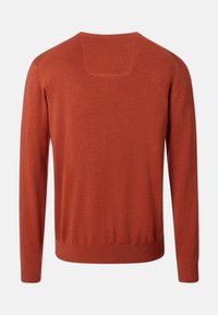Maglione color ruggine con maniche lunghe, collo a giro, polsini e vita a costine. Texture liscia, design minimalista e dettaglio della cucitura dello yoke posteriore.