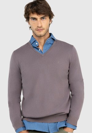 Hombre con cabello castaño y ojos azules que lleva un suéter gris con cuello en V sobre una camisa azul abotonada, de pie frente a un fondo claro y sencillo.