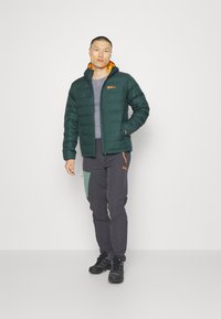 Jack Wolfskin ATHER - Gewatteerde jas - evergreen