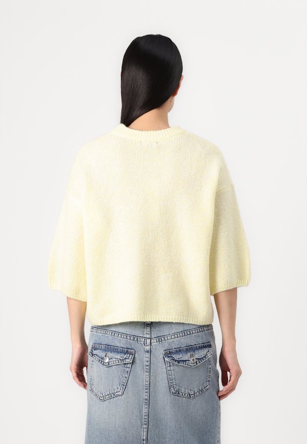 SHORT SLEEVE - Jumper - anise flower2