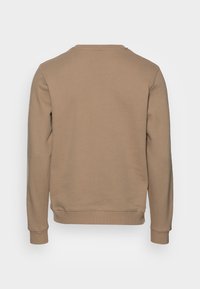 Beige hettegenser, bomullsmateriale, rund hals, lange ermer, ribbestrikkede mansjetter og kant, glatt tekstur, ingen synlige grafikker eller mønstre.