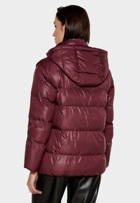 Giacca a vento bordeaux con cappuccio, caratterizzata da sezioni trapuntate e una texture lucida e liscia. Cuciture ben visibili e vestibilità comoda.