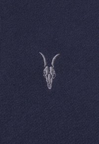AllSaints RAVEN CREW - Mikina - cadet blue