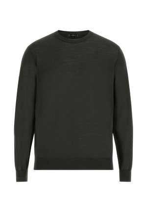 Tumši zaļš džemperis, kas izgatavots no mīkstas auduma, ar apaļu kakla izgriezumu, garām piedurknēm un ribotām piedurknēm un apkakli. Vienkāršs un klasiskā stila dizains.