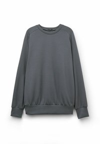 Grauer Sweatshirt aus weichem Material, mit Rundhalsausschnitt, Raglanärmeln, gerippten Bündchen und einem lockeren Schnitt ohne sichtbare Muster.