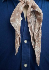 Brun paisley-scarf bundet om en blå button-up skjorte. Scarfet har en blød tekstur, og skjorten har perleknapper og krave.