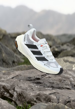 adidas Terrex, FREEHIKER 3 LOW GORE TEX - Hikingschuh - footwear white/core black/off white
