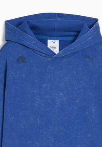 Felpa blu con una texture sbiadita, caratterizzata da una grafica di Sonic the Hedgehog e un logo Puma. Materiale in cotone, cappuccio regolabile e tasca a marsupio.