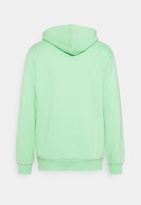 Mintgrön hoodie i mjukt bomullsmaterial, med dragsko i huvan, långa ärmar samt ribbade mudd och nederdel. Inga synliga mönster eller dekorationer.