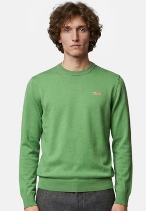 Giovane uomo con capelli ricci che indossa un maglione verde semplice e pantaloni grigi su sfondo bianco.