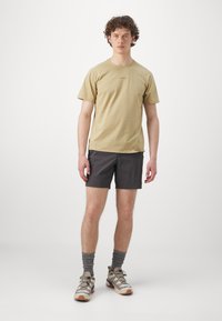 Salomon TRACKLINE TEE - Αθλητικό μπλουζάκι - gray green