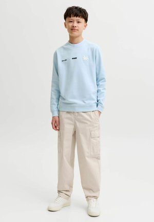 Mladá osoba stojaca, oblečená v svetlomodrej mikine s logom palmy, béžových cargo nohaviciach a bielych teniskách, na jednoduchom svetlom pozadí.