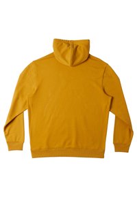 DC Shoes STAR PH - Hoodie - yky tinsel