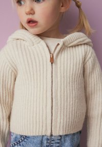 Next HOODED - REGULAR FIT - Kardigan - oatmeal