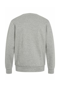 Sudadera de manga larga gris claro liso con puños y dobladillo acanalados, mostrada desde la parte posterior sobre un fondo blanco.
