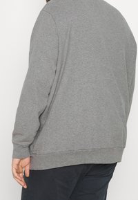 Szara bluza z mieszanki bawełny, z długimi rękawami, okrągłym dekoltem oraz prążkowanymi mankietami i dołem. Prosty, niezdobiony design.