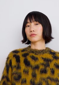 Obey Clothing DOTTIE CREW  - Pullover - bone brown