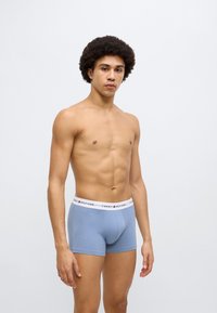 Σιέλ μποξέρ από βαμβάκι με λευκή ελαστική ζώνη μέσης που φέρει το λογότυπο "TOMMY HILFIGER" σε κόκκινο και μπλε ναυτικό χρώμα.