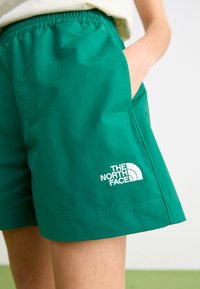 The North Face EASY WIND - Šortky - evergreen