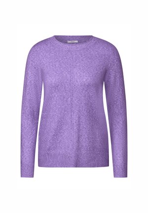 Maglione viola lavorato a maglia con colletto rotondo, maniche lunghe e orlo a costine. Caratterizzato da una texture morbida e leggere variazioni di colore.