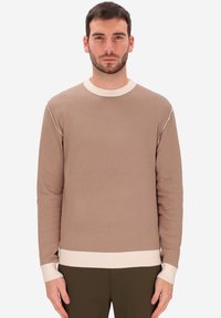 Maglione beige lavorato a maglia con scollo rotondo, polsini e orlo in crema a contrasto, con una sottile trama e vestibilità comoda.