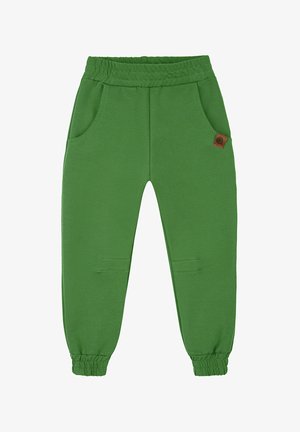 Zielone bawełniane spodnie dresowe z elastycznym paskiem w talii, dwoma bocznymi kieszeniami oraz małą brązową naszywką z logo. Gładka tekstura i zwężany krój.