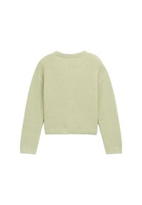Maglione lavorato a maglia di colore verde chiaro, con un motivo testurizzato, scollatura tonda e maniche lunghe. L'orlo è corto con finiture a coste.