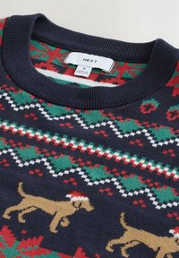 Navy gestrickter Pullover mit Mehrfarbenmustern, der braune Hunde in roten Hüten, geometrische Formen und grüne Akzente zeigt. Rippeneinsatz am Hals.