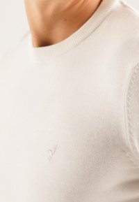 Pull beige clair avec un col rond, en tissu tricoté doux. Présente un petit logo brodé sur la poitrine et des poignets côtelés.