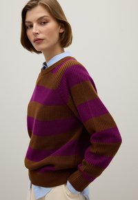 Pullover a righe marroni e viola in maglia, con collo rotondo e polsini a costine, indossato sopra una camicia azzurra con colletto.