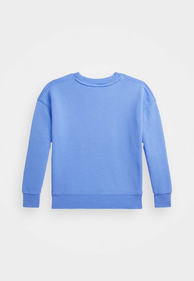 Felpa azzurra chiara con maniche lunghe, scollo rotondo, polsini e orlo ribattuti, e texture liscia. Nessun motivo o decorazione.