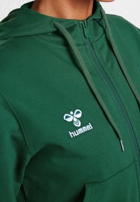 Sudadera verde hecha de tela suave, con cremallera frontal, capucha ajustable con cordón y logotipo bordado en el lado izquierdo del pecho.