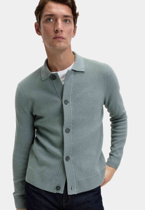 BUTTON DOWN - Chaqueta de punto - pewter