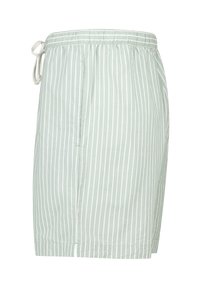 Light green swim shorts with white vertical stripes, elastic waistband, side pockets, and white drawstring on the left side.