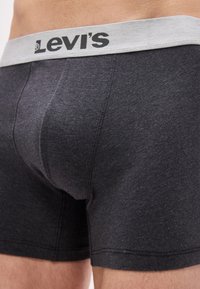 Κοντινή λήψη ενός ατόμου που φοράει σκούρα γκρι εσώρουχα Levi's boxer briefs με ανοιχτό γκρι ελαστική μέση που φέρει το λογότυπο Levi's σε μαύρο χρώμα.