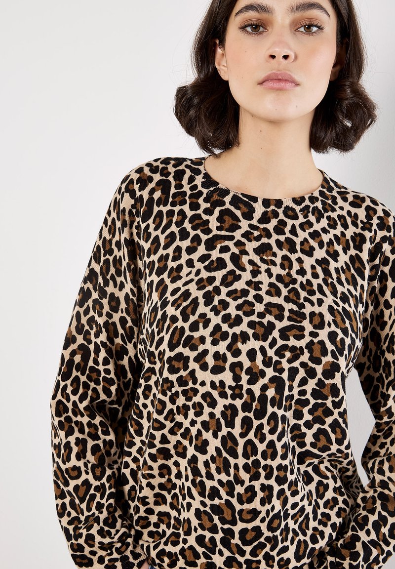 Apricot LEOPARD Strickpullover stone/stein Zalando