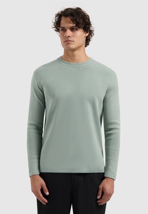 REGULAR FIT CREWNECK LS - Trui - army green