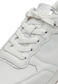 Tamaris Sneakers laag - white/wit - Zalando.be