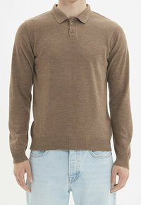 Pull polo marron à manches longues avec col, patte à trois boutons, poignets et ourlet côtelés, fabriqué en matériau doux et texturé.