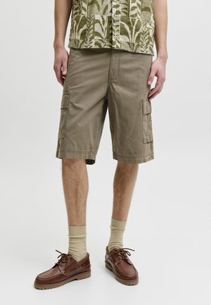 Jack & Jones, JPSTCOLE MATTY - Shortsit - crocodile