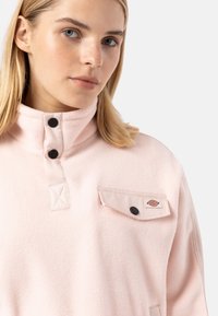 Dickies PORT ALLEN - Felpa in pile - peach whip