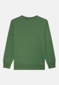 Sweatshirt vert à manches longues en tissu doux. Il présente un col rond, des poignets et un ourlet côtelés. Aucune motif graphique ni embellissement.