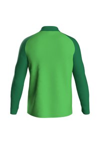 Langarmshirt met een levendig groene romp en donkerdere groene mouwen. Soepele textuur met een klassieke pasvorm en een hoge kraag.