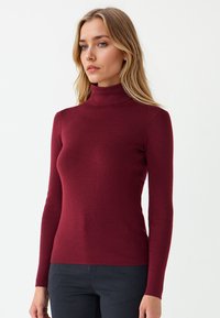 Burgundy turtleneck top, made from a stretchy knit fabric. Features long sleeves and a fitted silhouette, with a smooth texture.