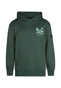 Donkergroene hoodie met een voorste buidelzak. Heeft een lichtgroene graphic van bomen en bergen. Geribbelde manchetten en onderboord. Zachte stoftextuur.