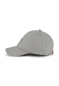 Gray cotton baseball cap with a curved brim, six-panel design, embroidered logo on the front, and a red label at the back.
