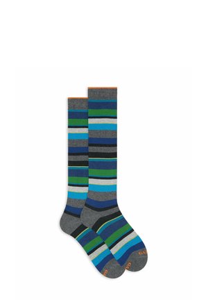 STRIPES - Knee high socks - grey